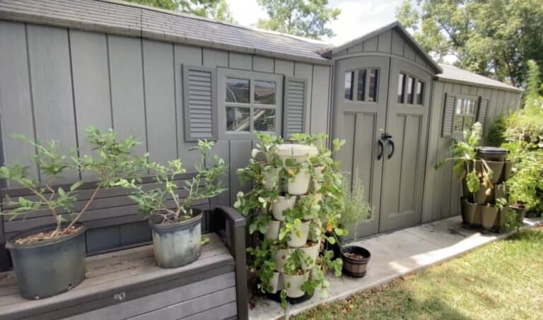 Simple Tips to Maximize Your Shed Space and Keep It Organized